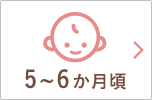 5～6か月頃