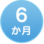 6か月